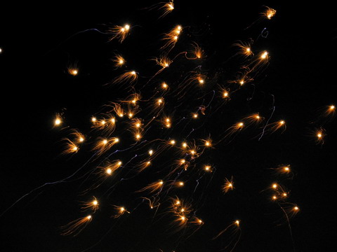 P1010708
