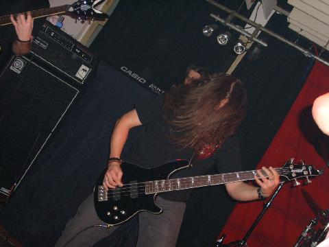 Sorrogate15