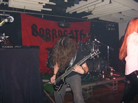 Sorrogate29