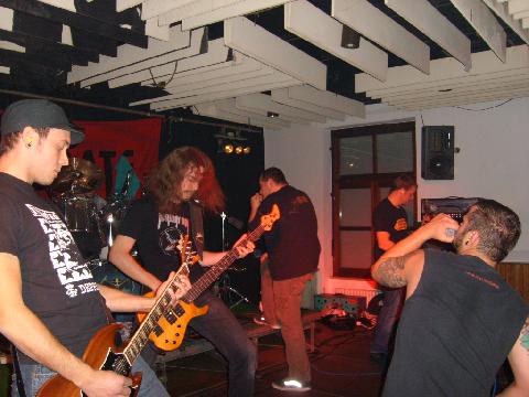 Sorrogate5