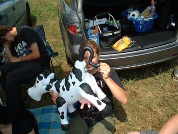 Bild108e