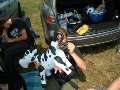 Bild108e