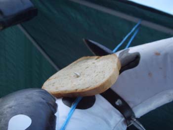 Wacken0657