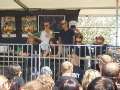 Wacken06156