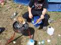 Wacken06226