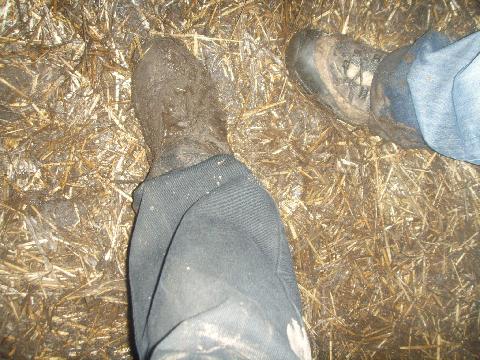 Wacken0735