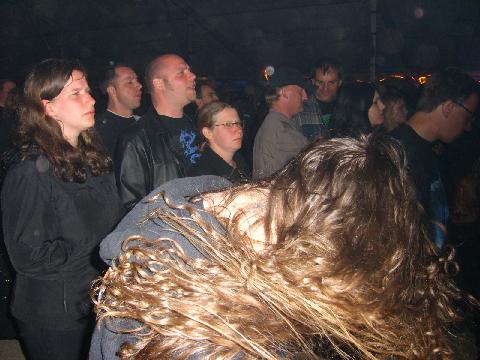 RockMania175
