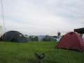 summerbreeze293