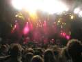 summerbreeze334