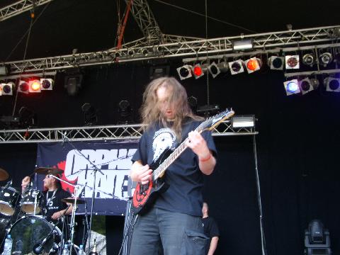 qom229