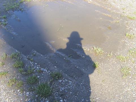 Wacken293