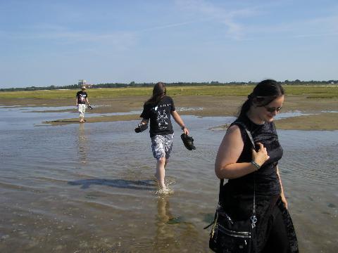 Wacken297
