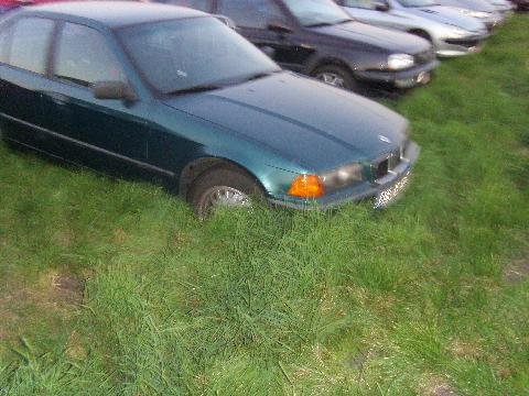 Wacken311