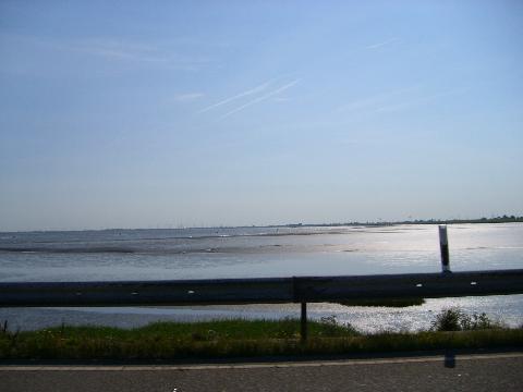 Wacken347