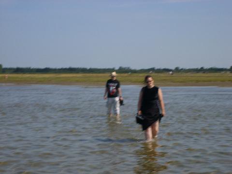 Wacken352