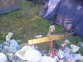 Wacken150