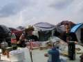 Wacken247