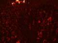 Wacken437