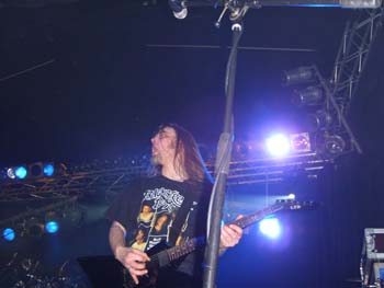 STP61231