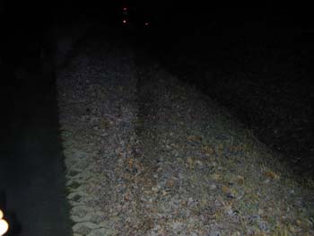 DSCN5002