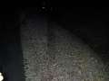 DSCN5002