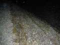 DSCN5003